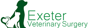 Exeter Veterinary Surgery
